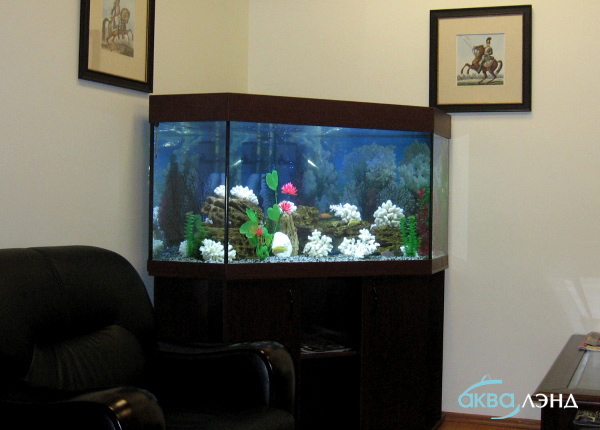 Аквариум на заказ