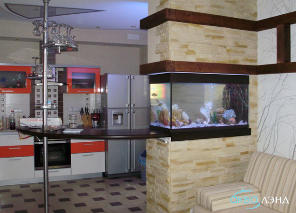 Аквариум под ключ Аквариум под ключ