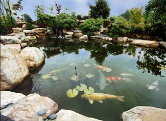 vodoem-na-zakaz.jpg vodoem-na-zakaz.jpg