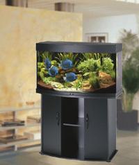 Панорамные аквариумы